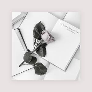 三年成全在线观看免费高清第1季
